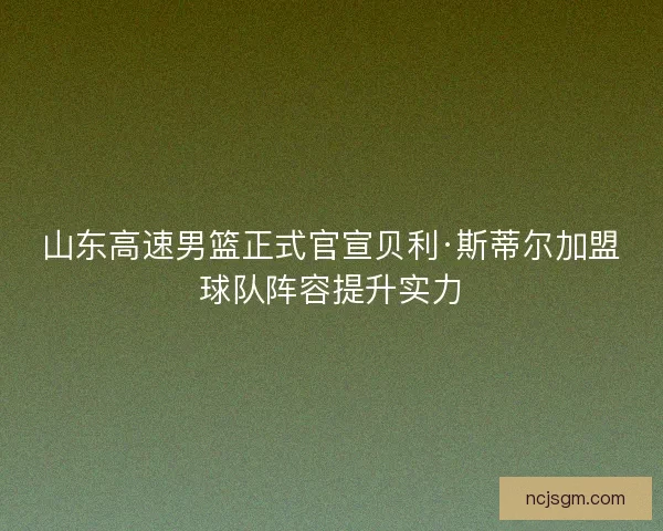 山东高速男篮正式官宣贝利·斯蒂尔加盟球队阵容提升实力